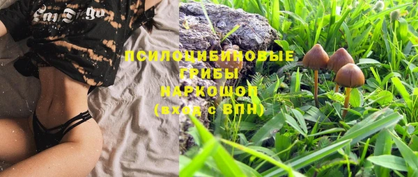 эйфоретик Инта