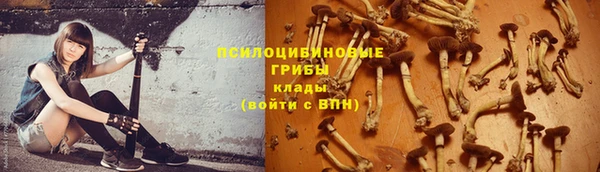 эйфоретик Инта