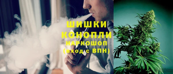 спайс Инсар