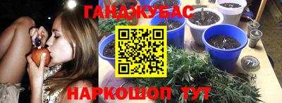 трава Северобайкальск