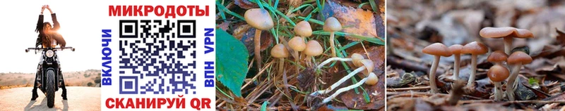 Галлюциногенные грибы Magic Shrooms  Салават 