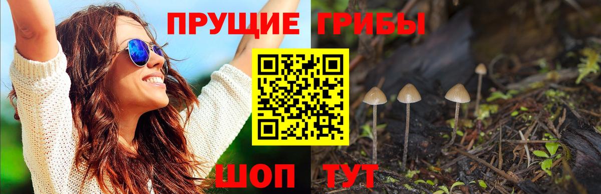 Галлюциногенные грибы прущие грибы  Вход с VPN  Салават 